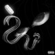 CUATRO NUEVE EP