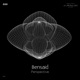 Perspective EP