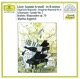 Liszt Sonata in B Minor and Hungarian Rhapsody Schumann Sonata No 2 Brahms Rhapsodies Op 79
