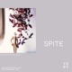 Spite Single
