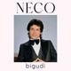 Bigudi Single