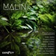 Malin feat Iván Jarpa Ocarito Cruz Bryan Gumbs Anibal Jiménez Samuel Barrios Daniel Sivachenko Christian Bradford Juan Esteban Pérez Single