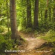 Enchantment Single