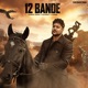 12 Bande Single