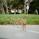 Habitat EP