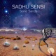 Sonic Sand