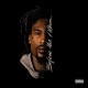 Before The Album