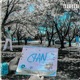 Cyan Single