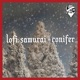 conifer Single