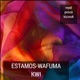 Estamos Wafuma Kwi Single