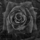 Oublier Single