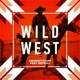 Wild West feat Grybuu Single