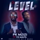 Pk Mzizi Si level feat Yo maps Single