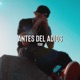 Antes Del Adios Single