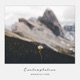 Contemplation Single