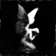 disorder Single