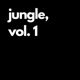 Jungle Vol 1 Single