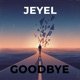Goodbye Single