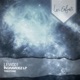 Ingravidez LP