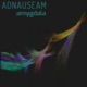 Amygdala Single
