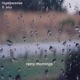 Rainy Mornings feat Elior Single