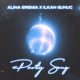 Party Song Single