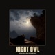 Night Owl feat Gold Single
