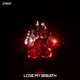 Lose My Breath Single
