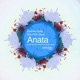 Anata feat Ffion Quick EP