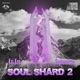 Soul Shard 2 feat Kai Ken Euphemistic EP