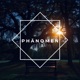 Phänomen Single