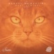 Beat Control EP