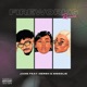 Fireworks feat Hersh Moozlie Remix Single