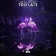 Too Late Single