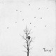 Bird Single
