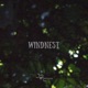 Windnest Single