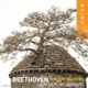 Beethoven The Late Quartets Op 127 135