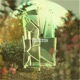 Patterns Single