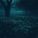 dandelions Single