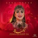 Zema Gunha Sa زما گناه څه Single