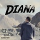 DIANA Single