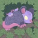 Opossum Single