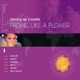 Fading Like a Flower Dancing DJs vs Roxette EP