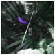 Melee Single