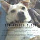 The Kindly Beast Imaginary Road Studios Instrumental Mix feat Eugene Friesen Tom Eaton Jeff Haynes Single