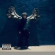 Born to in feat Mikey Rotten Single