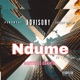 NDUME feat Daking Single