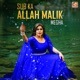 Sub Ka Allah Malik Single