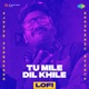 Tu Mile Dil Khile LoFi Single