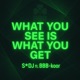 What You See Is What You Get Original feat BBB Koor Single